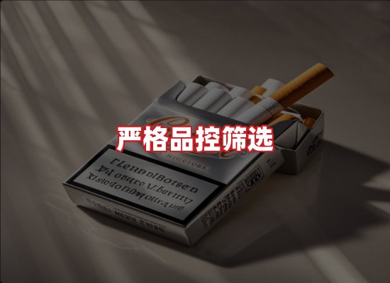 专业团队